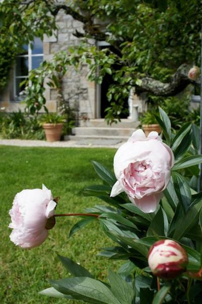 La Maison Les Mimosas Le Minihic-sur-Rance Luaran gambar